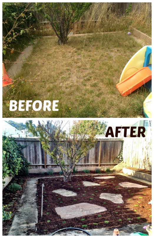 Yard before after